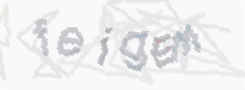 CAPTCHA-Bild zum Spam-Schutz 