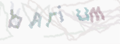 CAPTCHA-Bild zum Spam-Schutz 
