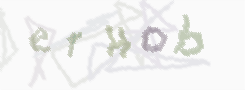 CAPTCHA-Bild zum Spam-Schutz 