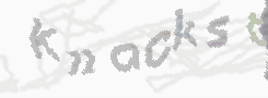 CAPTCHA-Bild zum Spam-Schutz 