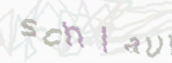 CAPTCHA-Bild zum Spam-Schutz 