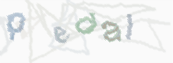 CAPTCHA-Bild zum Spam-Schutz 