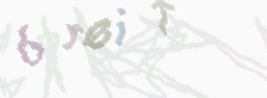 CAPTCHA-Bild zum Spam-Schutz 